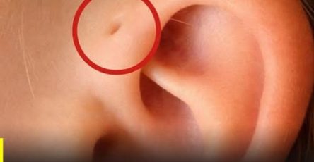 667271324 2810860355944650 491832823626063538 n