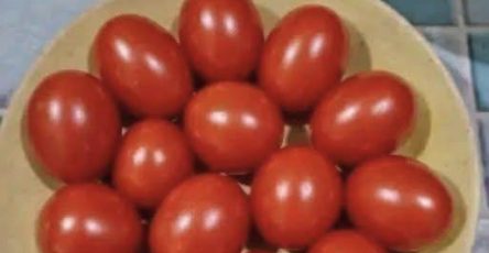 667672750 122256613550181557 2770975740824365372 n