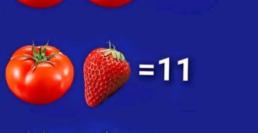 668071702 2406461933165674 6315151083697385166 n