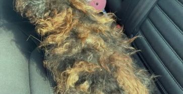 668478468 1273589868292331 1857770545953531055 n