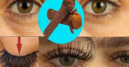 668740160 122108062436015785 6983470166173196992 n