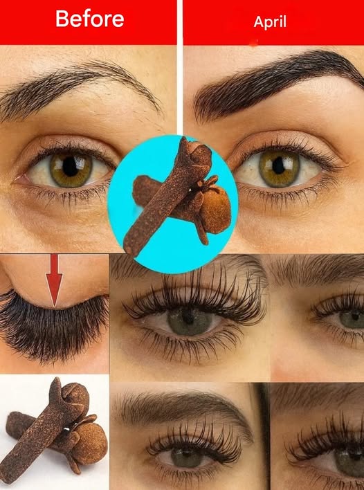 668740160 122108062436015785 6983470166173196992 n