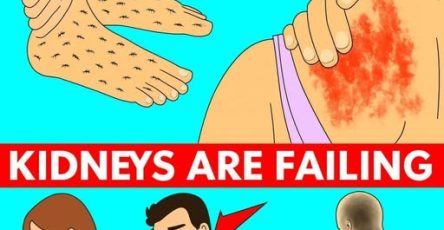 668880788 952669513977337 3975924435126493328 n