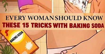 669254619 952555167322105 6426338283131832472 n