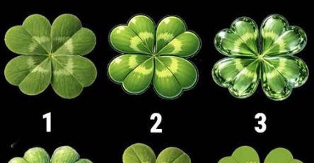 669291330 2406480743163793 8267660509828235943 n