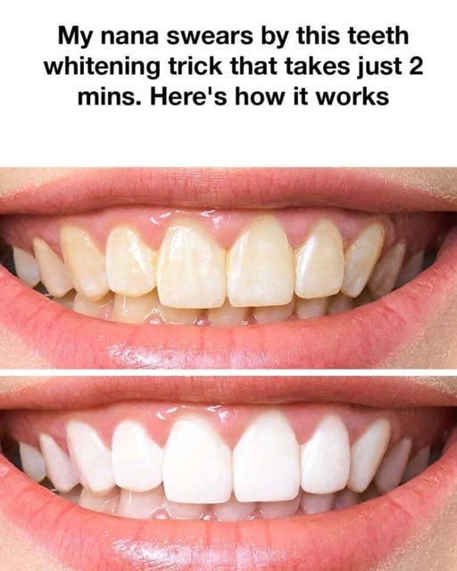 669297921 122181459902761182 8226302373648745865 n