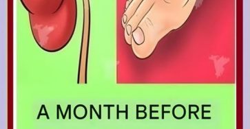 669360356 957824307204916 3271110091558092164 n