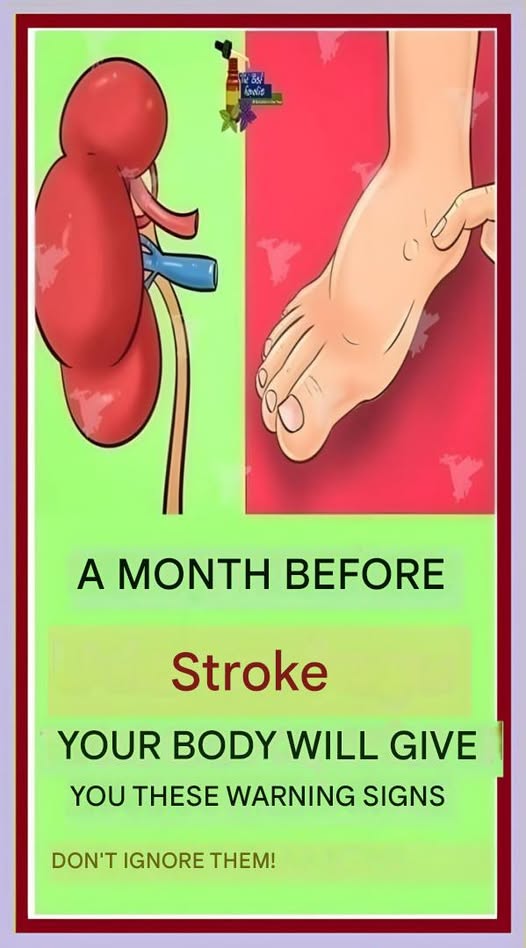 669360356 957824307204916 3271110091558092164 n