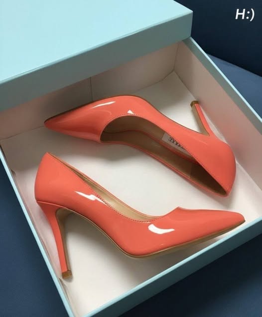 669372447 1489711055831304 3467476818543243844 n