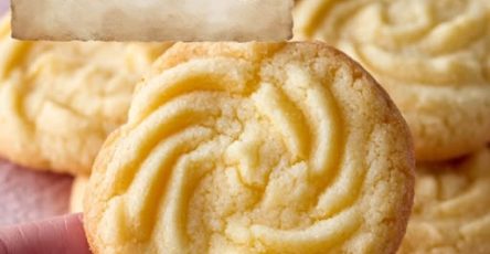 669607250 2190082845070396 3745836722925872926 n