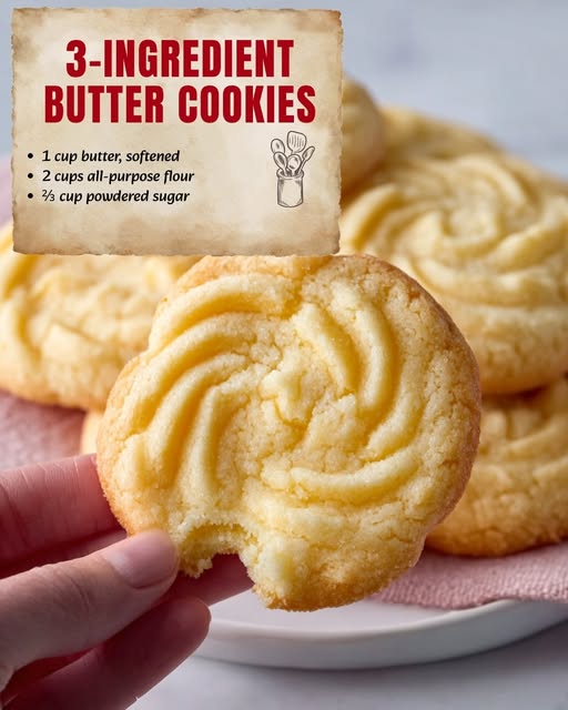 669607250 2190082845070396 3745836722925872926 n