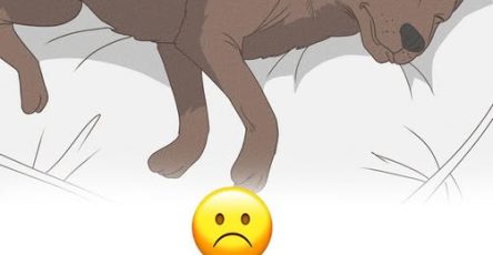 669991892 122108079830015785 8842859037733487477 n