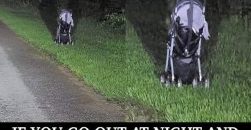 670424435 122094846686693094 8858320712315124314 n