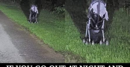 670424435 122094846686693094 8858320712315124314 n