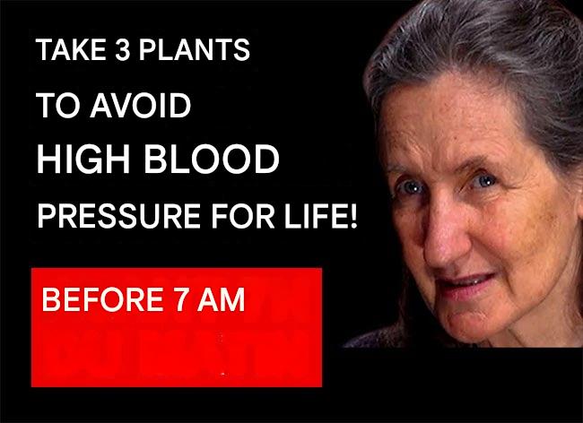 670617241 122108058440015785 7380848181831525048 n