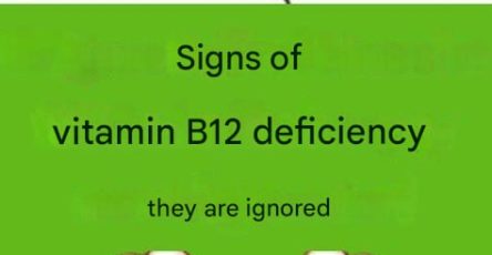 671118040 122103642992789064 8874115782001788355 n