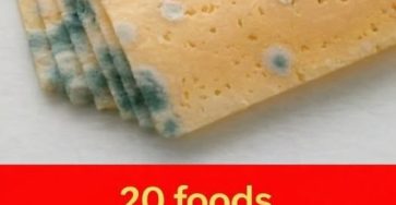 671332354 959954216991925 603301683652790977 n