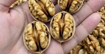 671332603 1488216306255307 2421415691543318307 n