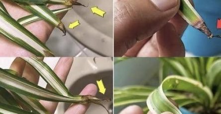 671500090 122103562790789064 2973792871209243728 n