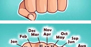 671558568 1468221794658799 5300117922600477033 n