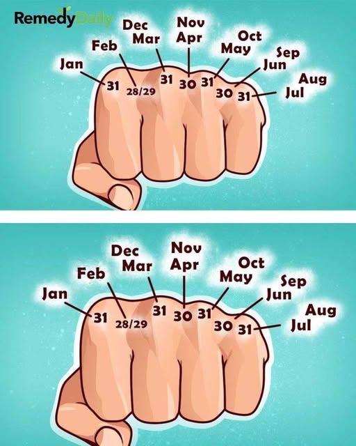 671558568 1468221794658799 5300117922600477033 n