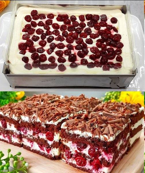 671605870 2412151005930100 1098665881290419254 n