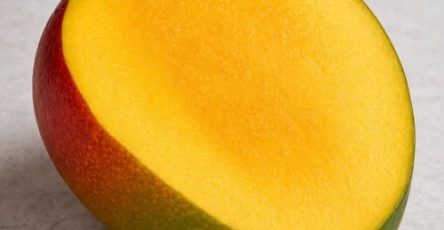 671832117 911024041939238 4583740714016981363 n