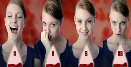 671975295 122103508268789064 364513247634945130 n