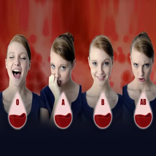 671975295 122103508268789064 364513247634945130 n