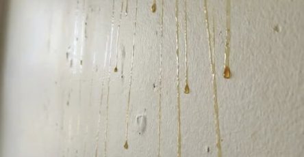 672336026 1934881684054673 4343529315535096681 n