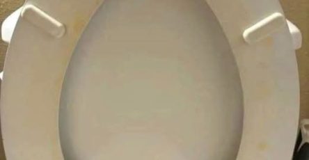 672789840 1934844244058417 5960714321378812779 n