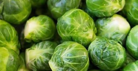 672951784 1936525013890340 8373040996315496741 n