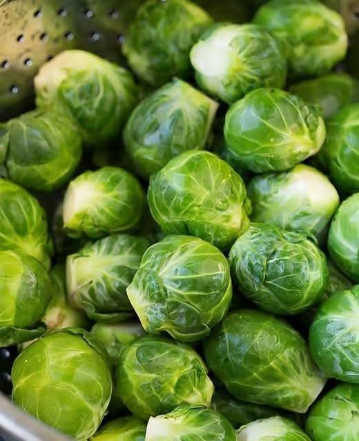 672951784 1936525013890340 8373040996315496741 n