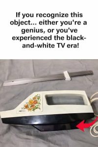 675144411 2414803125664888 5454780595427222445 n