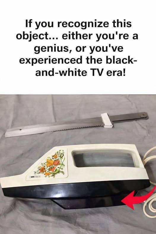 675144411 2414803125664888 5454780595427222445 n