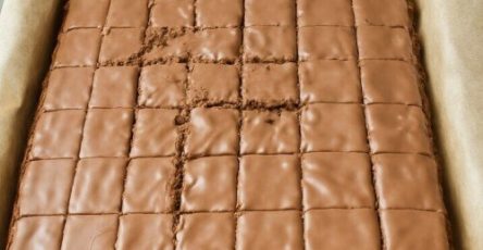 677813664 122117953515248225 1558819488838295549 n