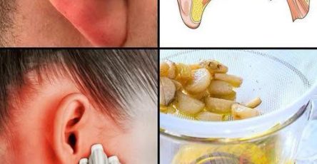 682784925 2425040981307769 5234601988732258531 n