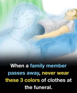 Be479890 31ad 460c 8414 e86f1ed359eb