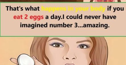 686252265 4308471066068137 6560281325953170383 n