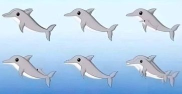 695723985 1706887503773770 7576568295252280234 n
