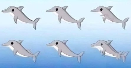 695723985 1706887503773770 7576568295252280234 n