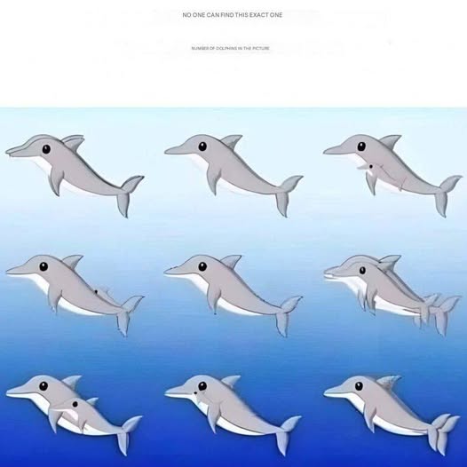 695723985 1706887503773770 7576568295252280234 n