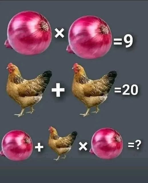 742309220 4393643270793613 8162245764702550675 n