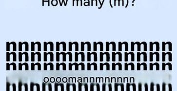768391207 1792082545254265 411406523396623149 n