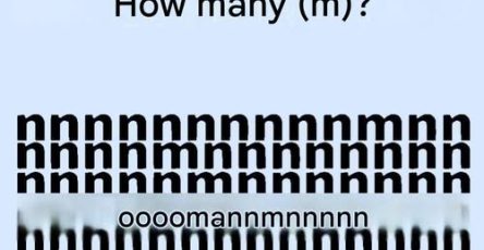 768391207 1792082545254265 411406523396623149 n